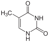 Datei:160px-Thymin.svg.png
