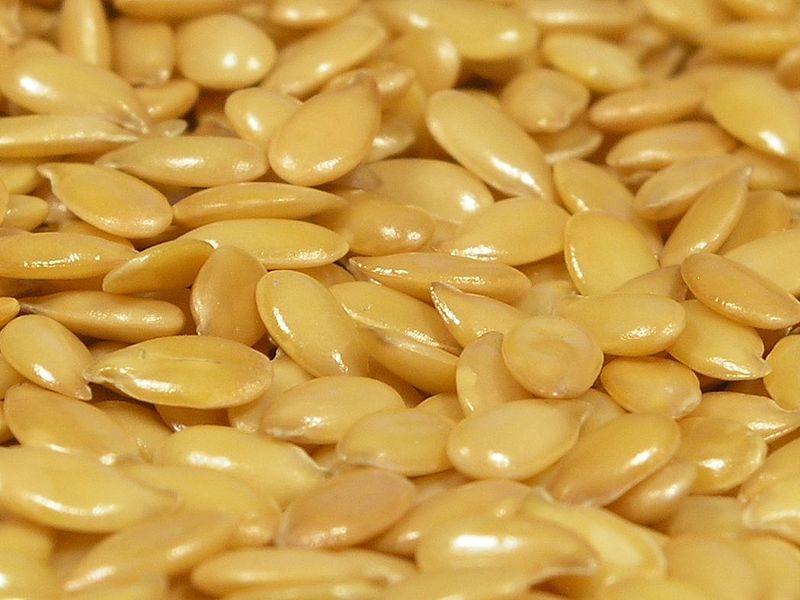 Datei:800px-Flax seeds.jpg