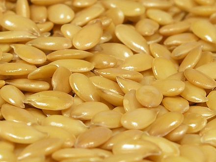 Datei:440px-Flax seeds.jpg