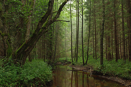 Datei:450px-Tarvasjõgi.jpg