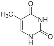 Datei:180px-Thymin.svg.png