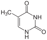 Datei:200px-Thymin.svg.png