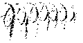 Vorschaubild der Version vom 13:23, 11. Aug. 2022