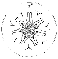Vorschaubild der Version vom 14:59, 11. Aug. 2022
