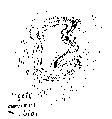 Vorschaubild der Version vom 12:35, 11. Aug. 2022