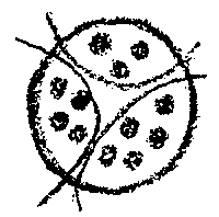 Zeichnung aus GA 305, S. 111