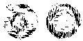 Vorschaubild der Version vom 15:24, 11. Aug. 2022