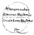 Vorschaubild der Version vom 12:49, 11. Aug. 2022