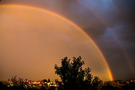 regenbogen-anthrowiki