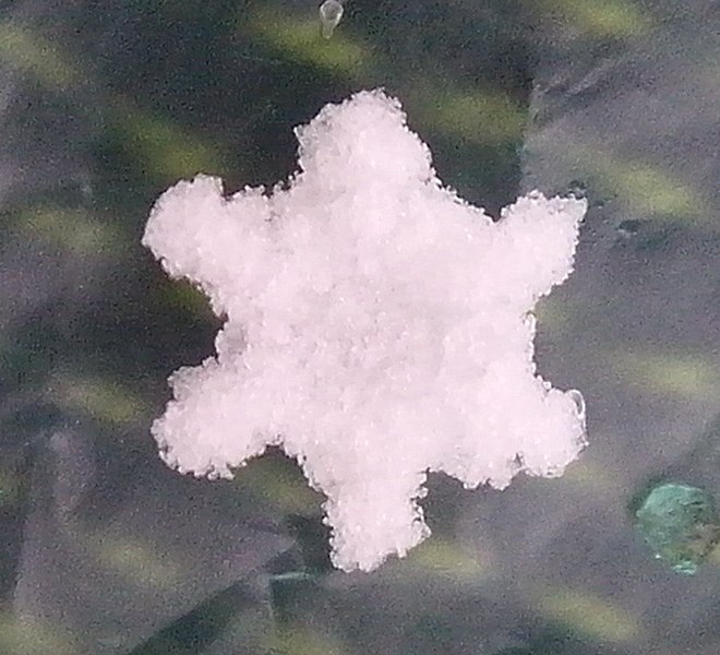 Datei:Schneeflocke3.jpg