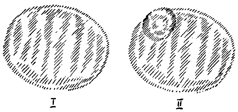 Datei:1200px-GA202 196a.gif