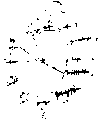 Vorschaubild der Version vom 15:58, 11. Aug. 2022