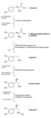 Vorschaubild der Version vom 14:01, 11. Aug. 2022