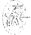 Vorschaubild der Version vom 12:58, 11. Aug. 2022