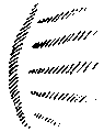 Vorschaubild der Version vom 15:44, 11. Aug. 2022
