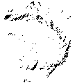 Vorschaubild der Version vom 17:28, 11. Aug. 2022