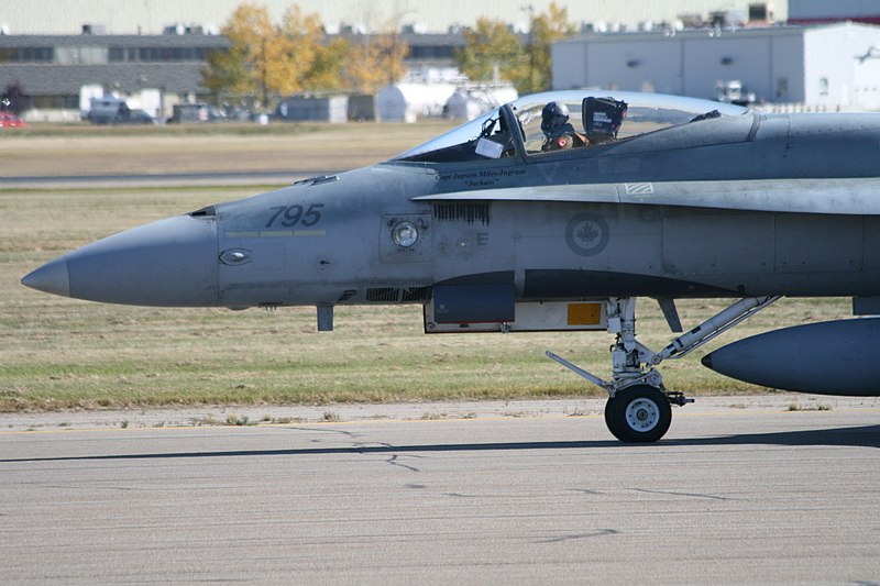 Datei:CF-188795 Hornet (2896645842).jpg