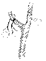 Vorschaubild der Version vom 13:32, 11. Aug. 2022