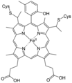 Vorschaubild der Version vom 13:54, 11. Aug. 2022