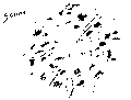 Vorschaubild der Version vom 16:40, 11. Aug. 2022