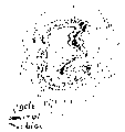 Vorschaubild der Version vom 12:35, 11. Aug. 2022