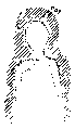 Vorschaubild der Version vom 17:12, 11. Aug. 2022