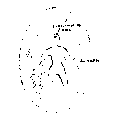 Vorschaubild der Version vom 13:20, 11. Aug. 2022