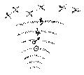 Vorschaubild der Version vom 13:52, 11. Aug. 2022