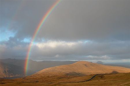 regenbogen-anthrowiki
