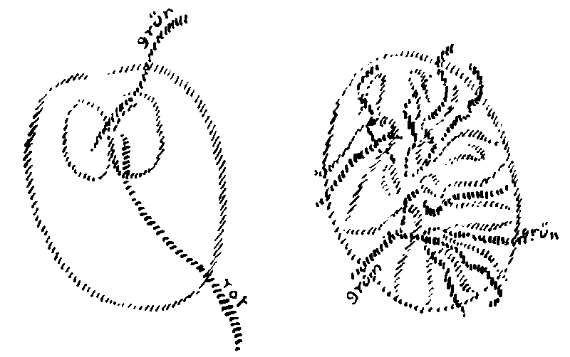 Datei:1200px-GA230 084.gif