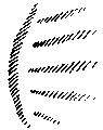 Vorschaubild der Version vom 15:44, 11. Aug. 2022