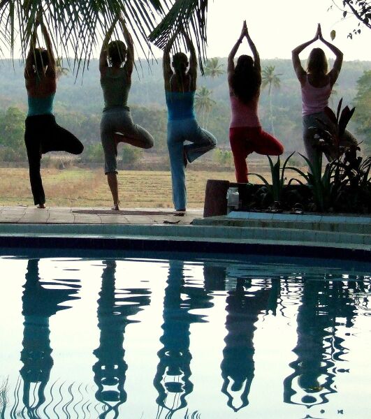 Datei:1062px-Vrksasana.jpg