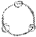 Vorschaubild der Version vom 17:34, 11. Aug. 2022