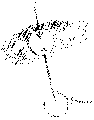 Vorschaubild der Version vom 12:22, 11. Aug. 2022