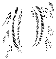 Vorschaubild der Version vom 14:34, 11. Aug. 2022