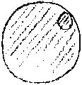 Vorschaubild der Version vom 16:09, 11. Aug. 2022