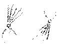 Vorschaubild der Version vom 14:19, 11. Aug. 2022