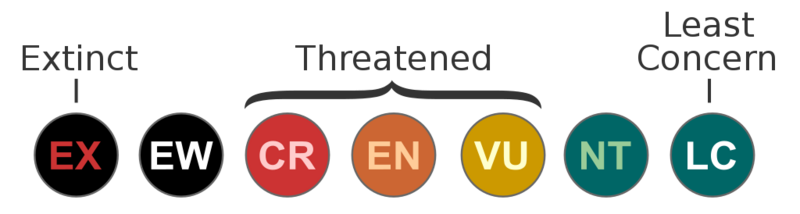 Datei:1024px-Status iucn3.1.svg.png