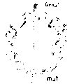 Vorschaubild der Version vom 13:07, 11. Aug. 2022