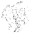 Vorschaubild der Version vom 16:44, 11. Aug. 2022