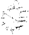 Vorschaubild der Version vom 15:58, 11. Aug. 2022