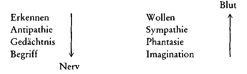 Datei:1600px-GA293 038.gif