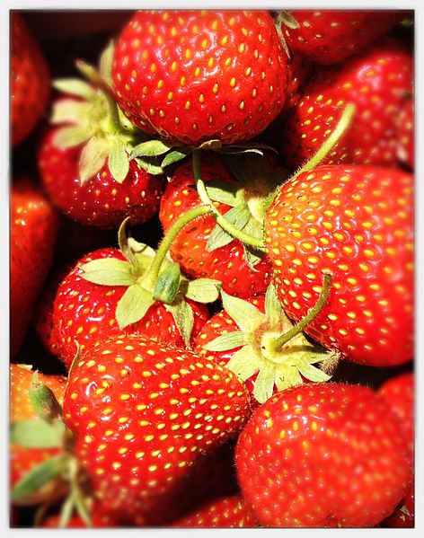 Datei:Erdbeeren 2.jpg