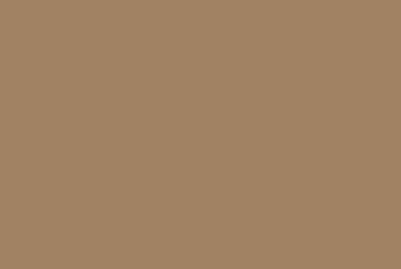 Datei:RGB-161-130-99.jpg