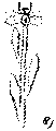 Vorschaubild der Version vom 14:06, 11. Aug. 2022