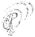 Vorschaubild der Version vom 16:04, 11. Aug. 2022