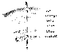Vorschaubild der Version vom 17:50, 11. Aug. 2022