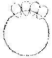 Vorschaubild der Version vom 15:54, 11. Aug. 2022