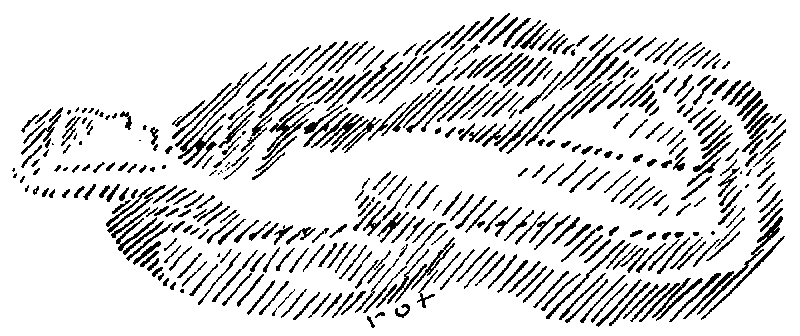 Datei:1200px-GA236 126.gif