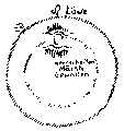 Vorschaubild der Version vom 16:57, 11. Aug. 2022